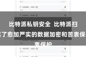 比特派私钥安全 比特派扫尾了愈加严实的数据加密和苦衷保护