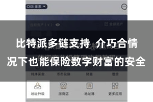 比特派多链支持 介巧合情况下也能保险数字财富的安全