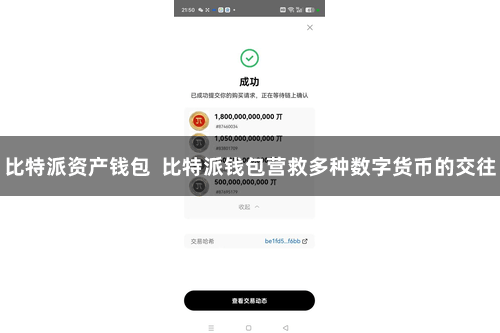 比特派资产钱包  比特派钱包营救多种数字货币的交往