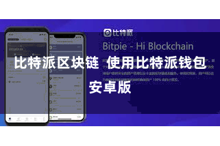 比特派区块链  使用比特派钱包安卓版