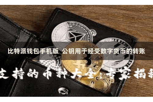 比特派钱包手机版  公钥用于经受数字货币的转账
