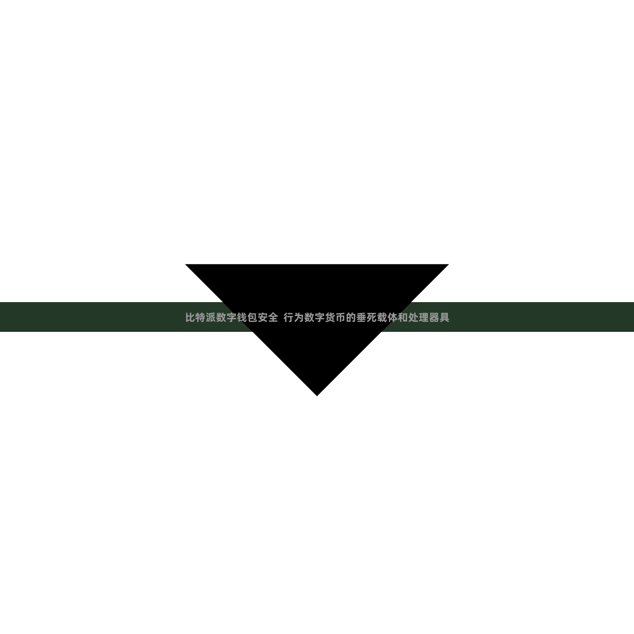比特派数字钱包安全  行为数字货币的垂死载体和处理器具