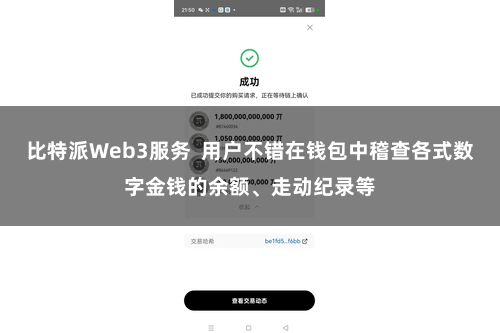 比特派Web3服务  用户不错在钱包中稽查各式数字金钱的余额、走动纪录等