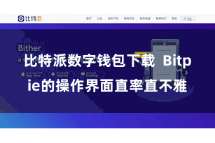 比特派数字钱包下载  Bitpie的操作界面直率直不雅