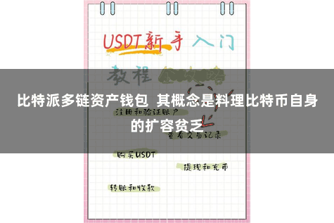 比特派多链资产钱包  其概念是料理比特币自身的扩容贫乏