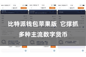 比特派钱包苹果版  它撑抓多种主流数字货币