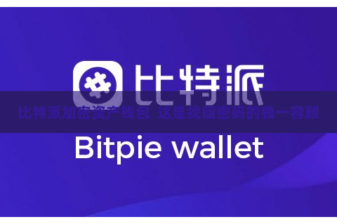 比特派加密资产钱包  这是找回密码的独一容颜