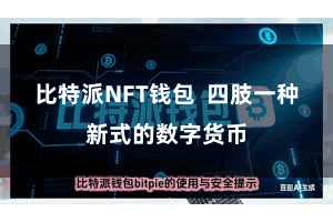 比特派NFT钱包  四肢一种新式的数字货币