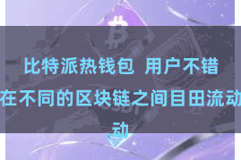 比特派热钱包  用户不错在不同的区块链之间目田流动
