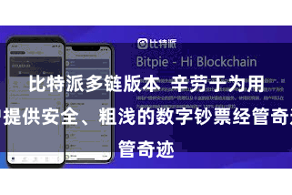 比特派多链版本  辛劳于为用户提供安全、粗浅的数字钞票经管奇迹